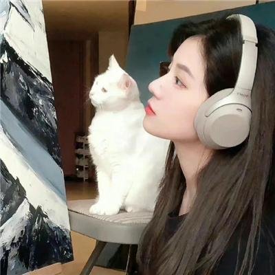变身特务